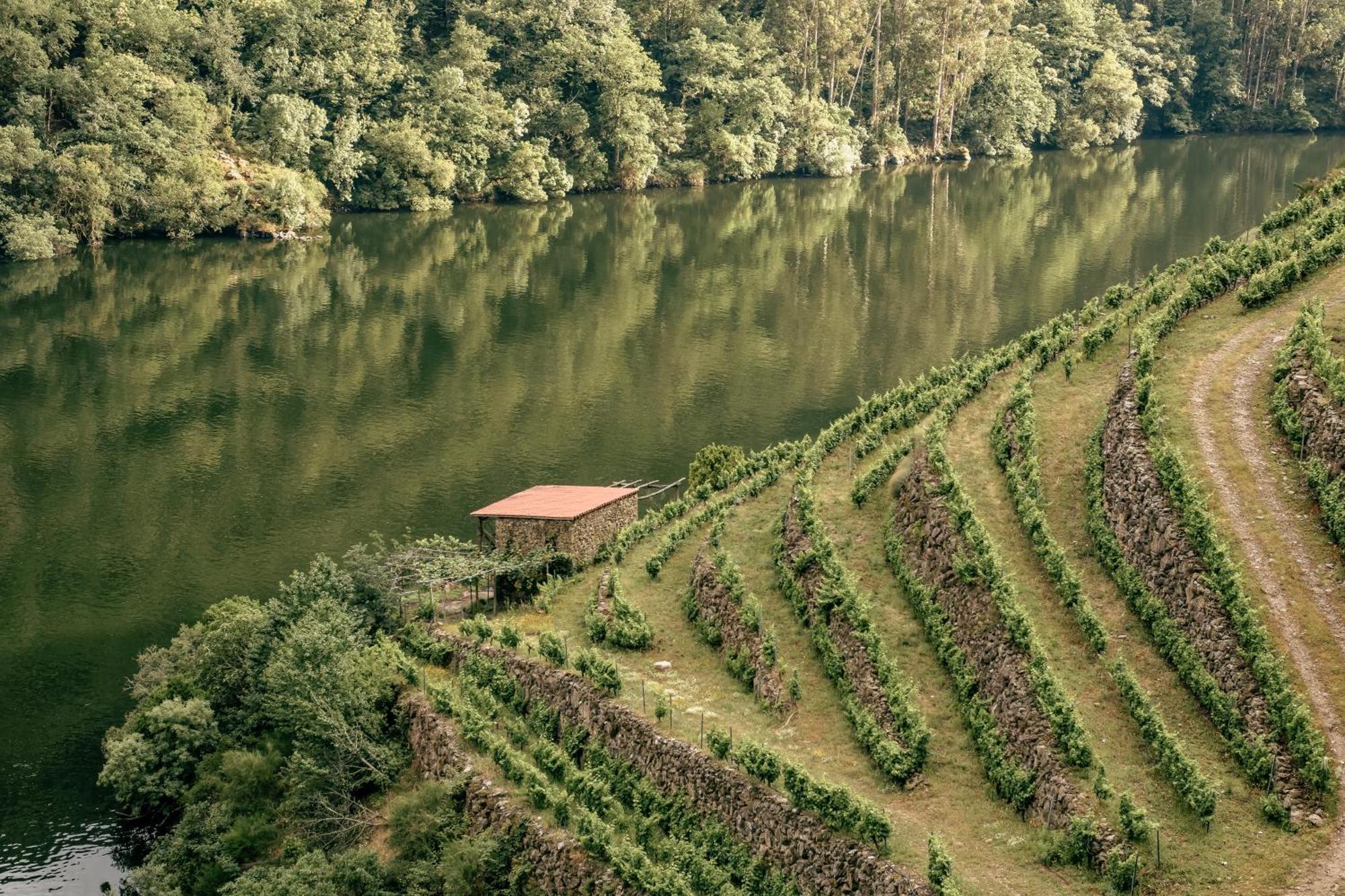 Penzion Casinas Do Sil Cristosende Exteriér fotografie